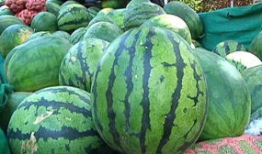 怎么找吃瓜爆料的人群呢,如何精准锁定吃瓜爆料达人